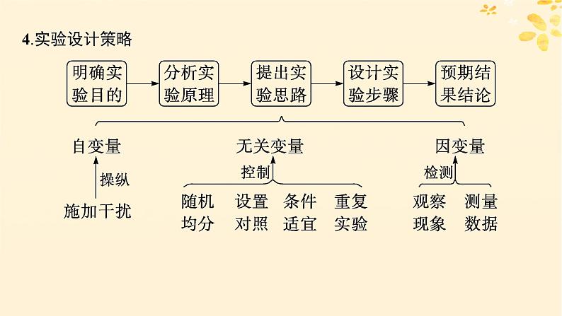 备战2025届新高考生物一轮总复习第3单元细胞的代谢专题精研课1运用“变量”思维解析与酶有关的实验设计课件05