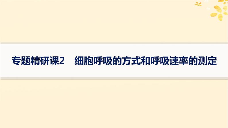 备战2025届新高考生物一轮总复习第3单元细胞的代谢专题精研课2细胞呼吸的方式和呼吸速率的测定课件第1页