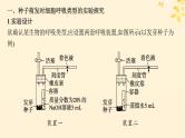 备战2025届新高考生物一轮总复习第3单元细胞的代谢专题精研课2细胞呼吸的方式和呼吸速率的测定课件