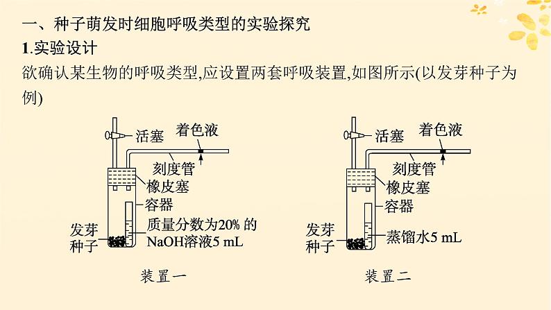 备战2025届新高考生物一轮总复习第3单元细胞的代谢专题精研课2细胞呼吸的方式和呼吸速率的测定课件第2页