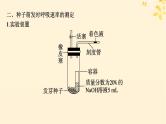 备战2025届新高考生物一轮总复习第3单元细胞的代谢专题精研课2细胞呼吸的方式和呼吸速率的测定课件