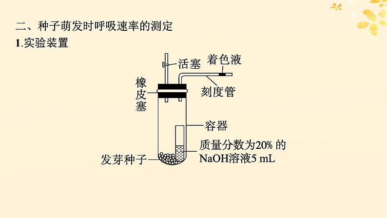 备战2025届新高考生物一轮总复习第3单元细胞的代谢专题精研课2细胞呼吸的方式和呼吸速率的测定课件第4页