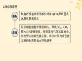 备战2025届新高考生物一轮总复习第3单元细胞的代谢专题精研课2细胞呼吸的方式和呼吸速率的测定课件