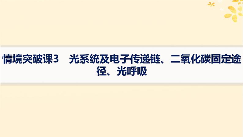 备战2025届新高考生物一轮总复习第3单元细胞的代谢情境突破课3光系统及电子传递链二氧化碳固定途径光呼吸课件第1页