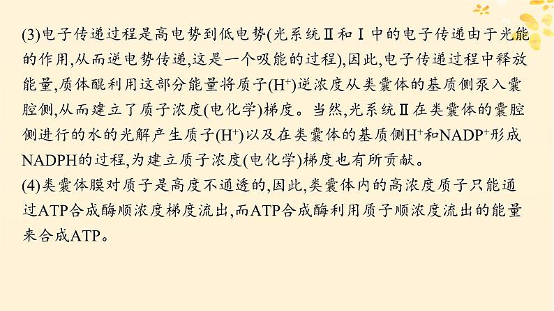 备战2025届新高考生物一轮总复习第3单元细胞的代谢情境突破课3光系统及电子传递链二氧化碳固定途径光呼吸课件第5页