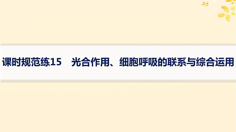 备战2025届新高考生物一轮总复习第3单元细胞的代谢课时规范练15光合作用细胞呼吸的联系与综合运用课件第1页