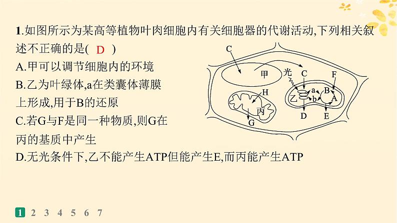 备战2025届新高考生物一轮总复习第3单元细胞的代谢课时规范练15光合作用细胞呼吸的联系与综合运用课件第3页