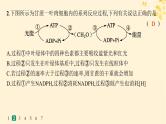 备战2025届新高考生物一轮总复习第3单元细胞的代谢课时规范练15光合作用细胞呼吸的联系与综合运用课件
