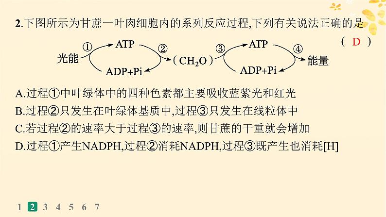 备战2025届新高考生物一轮总复习第3单元细胞的代谢课时规范练15光合作用细胞呼吸的联系与综合运用课件第5页