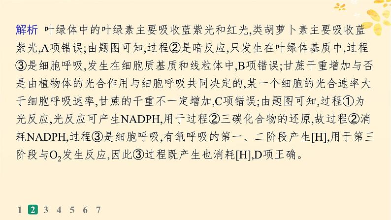 备战2025届新高考生物一轮总复习第3单元细胞的代谢课时规范练15光合作用细胞呼吸的联系与综合运用课件第6页