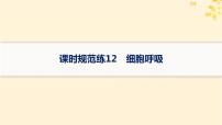 备战2025届新高考生物一轮总复习第3单元细胞的代谢课时规范练12细胞呼吸课件