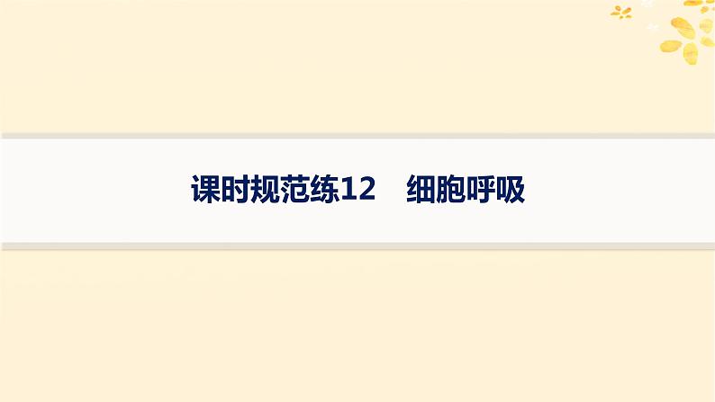 备战2025届新高考生物一轮总复习第3单元细胞的代谢课时规范练12细胞呼吸课件01