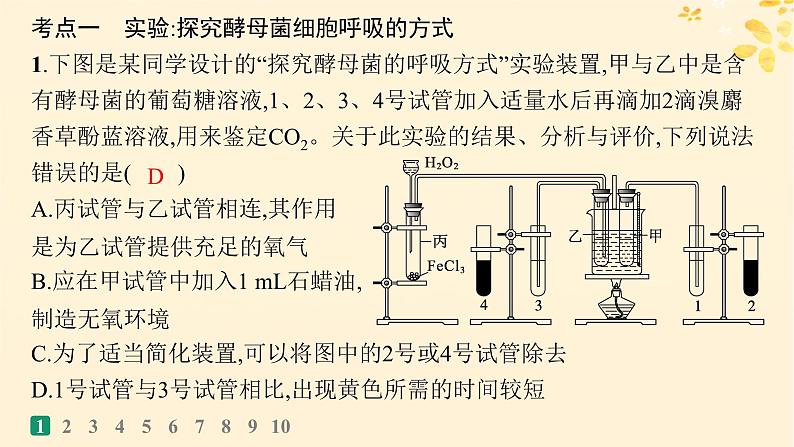 备战2025届新高考生物一轮总复习第3单元细胞的代谢课时规范练12细胞呼吸课件03