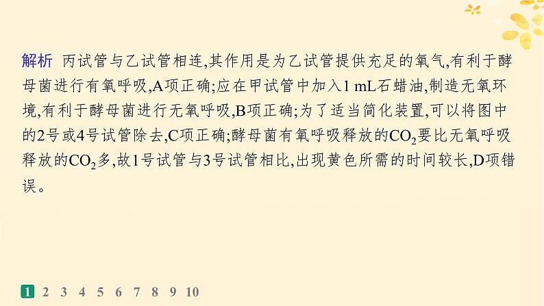 备战2025届新高考生物一轮总复习第3单元细胞的代谢课时规范练12细胞呼吸课件04