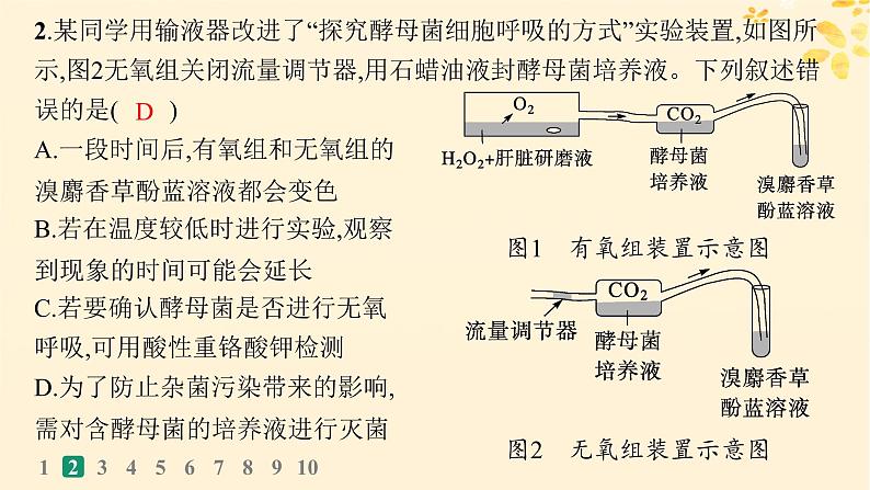 备战2025届新高考生物一轮总复习第3单元细胞的代谢课时规范练12细胞呼吸课件05