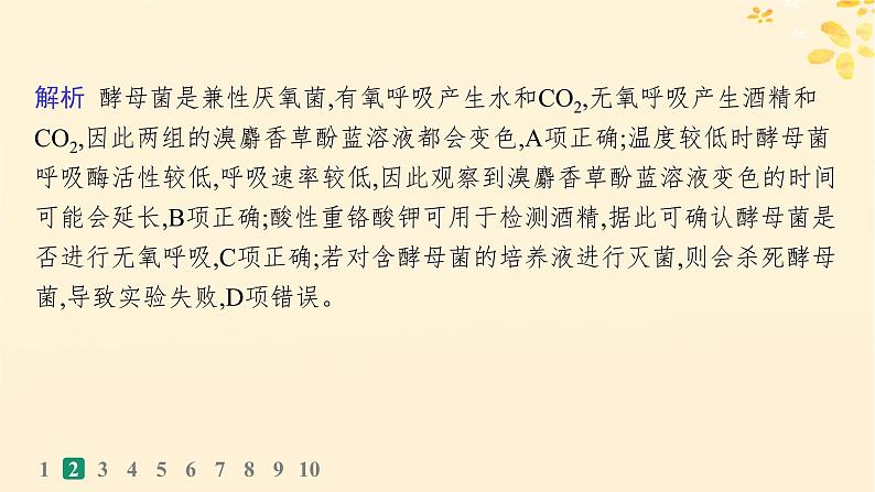 备战2025届新高考生物一轮总复习第3单元细胞的代谢课时规范练12细胞呼吸课件06