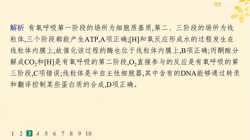 备战2025届新高考生物一轮总复习第3单元细胞的代谢课时规范练12细胞呼吸课件08