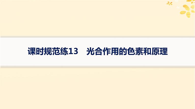 备战2025届新高考生物一轮总复习第3单元细胞的代谢课时规范练13光合作用的色素和原理课件第1页