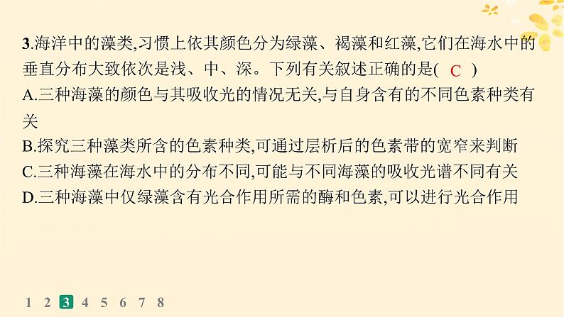 备战2025届新高考生物一轮总复习第3单元细胞的代谢课时规范练13光合作用的色素和原理课件第7页