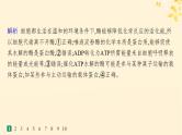 备战2025届新高考生物一轮总复习第3单元细胞的代谢课时规范练11细胞的能量“货币”ATP课件
