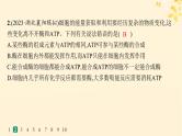 备战2025届新高考生物一轮总复习第3单元细胞的代谢课时规范练11细胞的能量“货币”ATP课件
