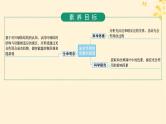 备战2025届新高考生物一轮总复习第3单元细胞的代谢第13讲光合作用的色素和原理课件
