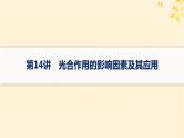备战2025届新高考生物一轮总复习第3单元细胞的代谢第14讲光合作用的影响因素及其应用课件