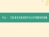 备战2025届新高考生物一轮总复习第3单元细胞的代谢第14讲光合作用的影响因素及其应用课件