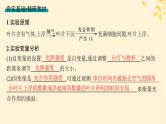 备战2025届新高考生物一轮总复习第3单元细胞的代谢第14讲光合作用的影响因素及其应用课件