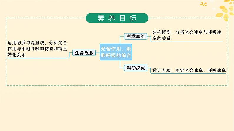 备战2025届新高考生物一轮总复习第3单元细胞的代谢第15讲光合作用细胞呼吸的联系与综合运用课件02