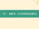 备战2025届新高考生物一轮总复习第3单元细胞的代谢第15讲光合作用细胞呼吸的联系与综合运用课件