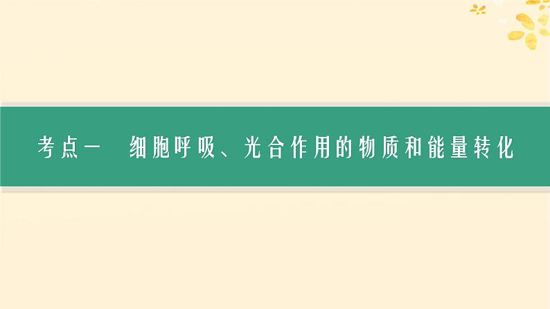 备战2025届新高考生物一轮总复习第3单元细胞的代谢第15讲光合作用细胞呼吸的联系与综合运用课件03