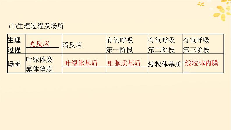 备战2025届新高考生物一轮总复习第3单元细胞的代谢第15讲光合作用细胞呼吸的联系与综合运用课件05