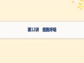 备战2025届新高考生物一轮总复习第3单元细胞的代谢第12讲细胞呼吸课件