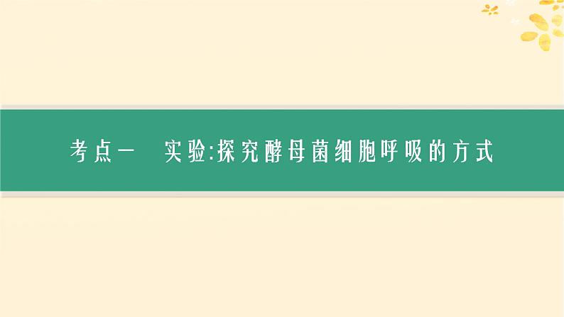 备战2025届新高考生物一轮总复习第3单元细胞的代谢第12讲细胞呼吸课件第3页