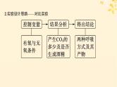 备战2025届新高考生物一轮总复习第3单元细胞的代谢第12讲细胞呼吸课件