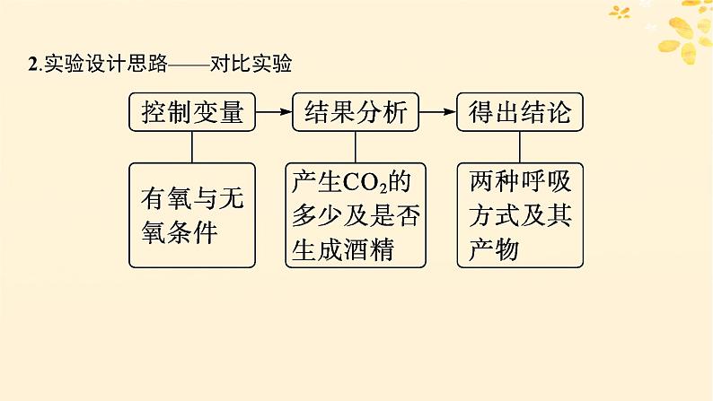 备战2025届新高考生物一轮总复习第3单元细胞的代谢第12讲细胞呼吸课件第5页