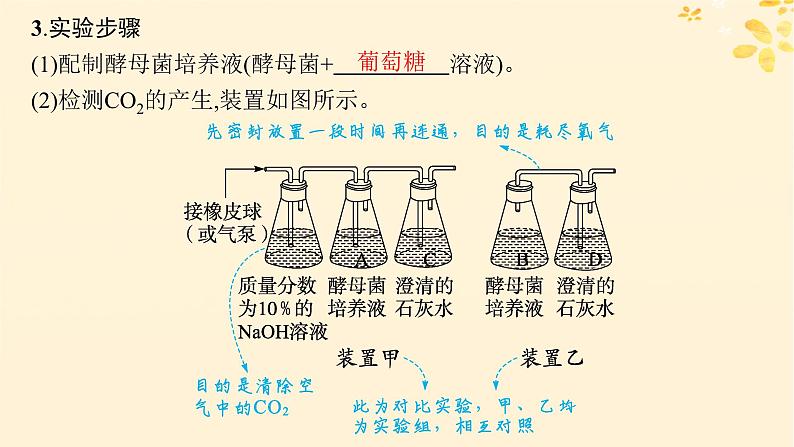 备战2025届新高考生物一轮总复习第3单元细胞的代谢第12讲细胞呼吸课件第7页