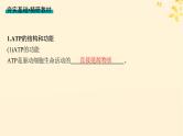 备战2025届新高考生物一轮总复习第3单元细胞的代谢第11讲细胞的能量“货币”ATP课件