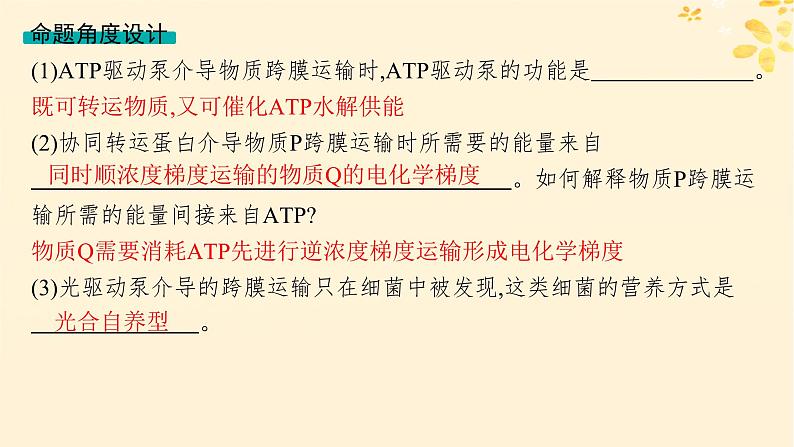 备战2025届新高考生物一轮总复习第2单元细胞的基本结构及物质运输情境突破课2主动运输过程中能量的三个来源课件第3页