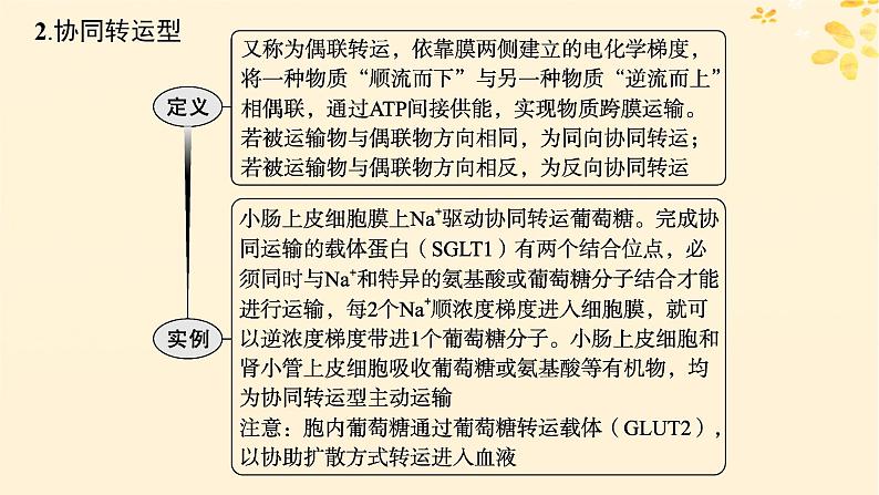 备战2025届新高考生物一轮总复习第2单元细胞的基本结构及物质运输情境突破课2主动运输过程中能量的三个来源课件第5页