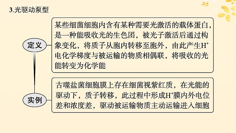 备战2025届新高考生物一轮总复习第2单元细胞的基本结构及物质运输情境突破课2主动运输过程中能量的三个来源课件第7页