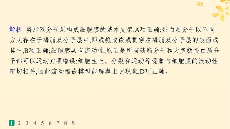 备战2025届新高考生物一轮总复习第2单元细胞的基本结构及物质运输课时规范练5细胞膜课件第4页