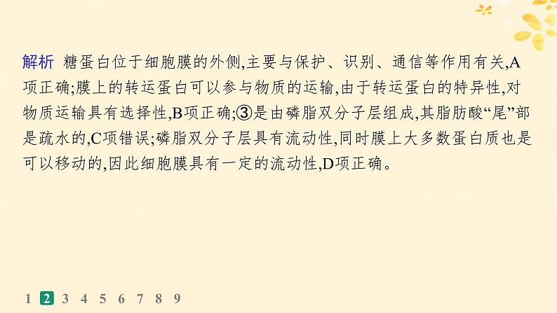 备战2025届新高考生物一轮总复习第2单元细胞的基本结构及物质运输课时规范练5细胞膜课件第6页