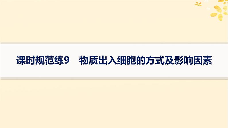 备战2025届新高考生物一轮总复习第2单元细胞的基本结构及物质运输课时规范练9物质出入细胞的方式及影响因素课件01