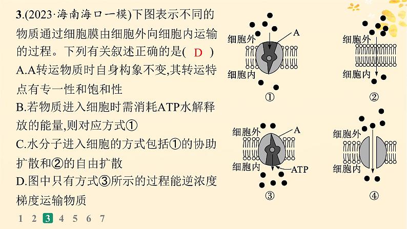 备战2025届新高考生物一轮总复习第2单元细胞的基本结构及物质运输课时规范练9物质出入细胞的方式及影响因素课件07