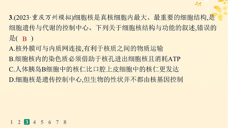 备战2025届新高考生物一轮总复习第2单元细胞的基本结构及物质运输课时规范练7细胞核与细胞结构的统一性课件第7页