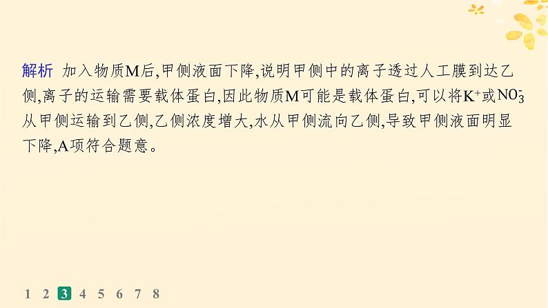 备战2025届新高考生物一轮总复习第2单元细胞的基本结构及物质运输课时规范练8水进出细胞的原理课件08