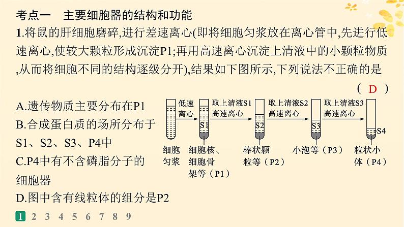 备战2025届新高考生物一轮总复习第2单元细胞的基本结构及物质运输课时规范练6细胞器与生物膜系统课件03