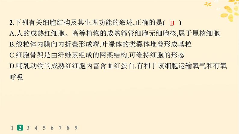 备战2025届新高考生物一轮总复习第2单元细胞的基本结构及物质运输课时规范练6细胞器与生物膜系统课件05